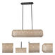 Cebu Island Linear Ceiling Light in Matte Black