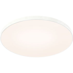 Fusion 1 Light 21 inch White Flushmount Ceiling Light