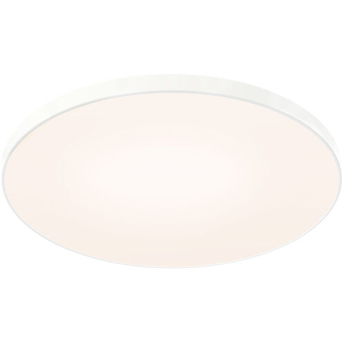 Fusion 1 Light 21 inch White Flushmount Ceiling Light