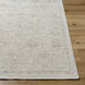 Once Upon a Time 34.65 X 23.23 inch Ivory / Light Gray / Tan / Light Brown / Gray Machine Woven Rug in 2 x 3