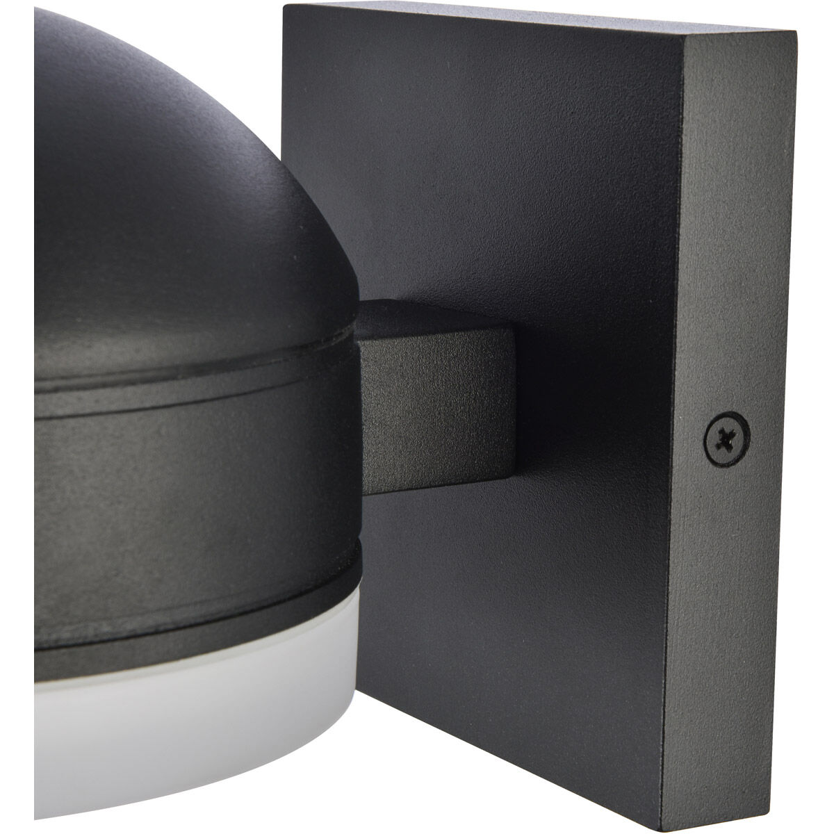 Raine Outdoor Wall Light in Black