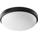 Fort Worth LED 12 inch Noir Flush Mount Ceiling Light, Quorum Home