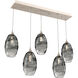 Ellisse 5 Light Beige Silver Linear Pendant Ceiling Light in Metallic Beige Silver, Ellisse Smoke, Multi-Port