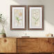 Tulip & Iris Beige and Gray and Green and White Framed Art, Propac