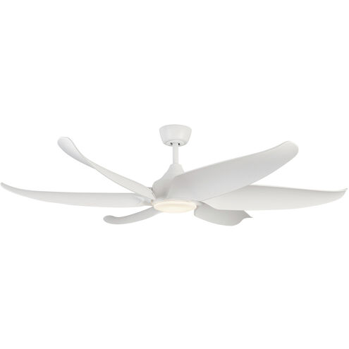 Coronado Indoor Ceiling Fan