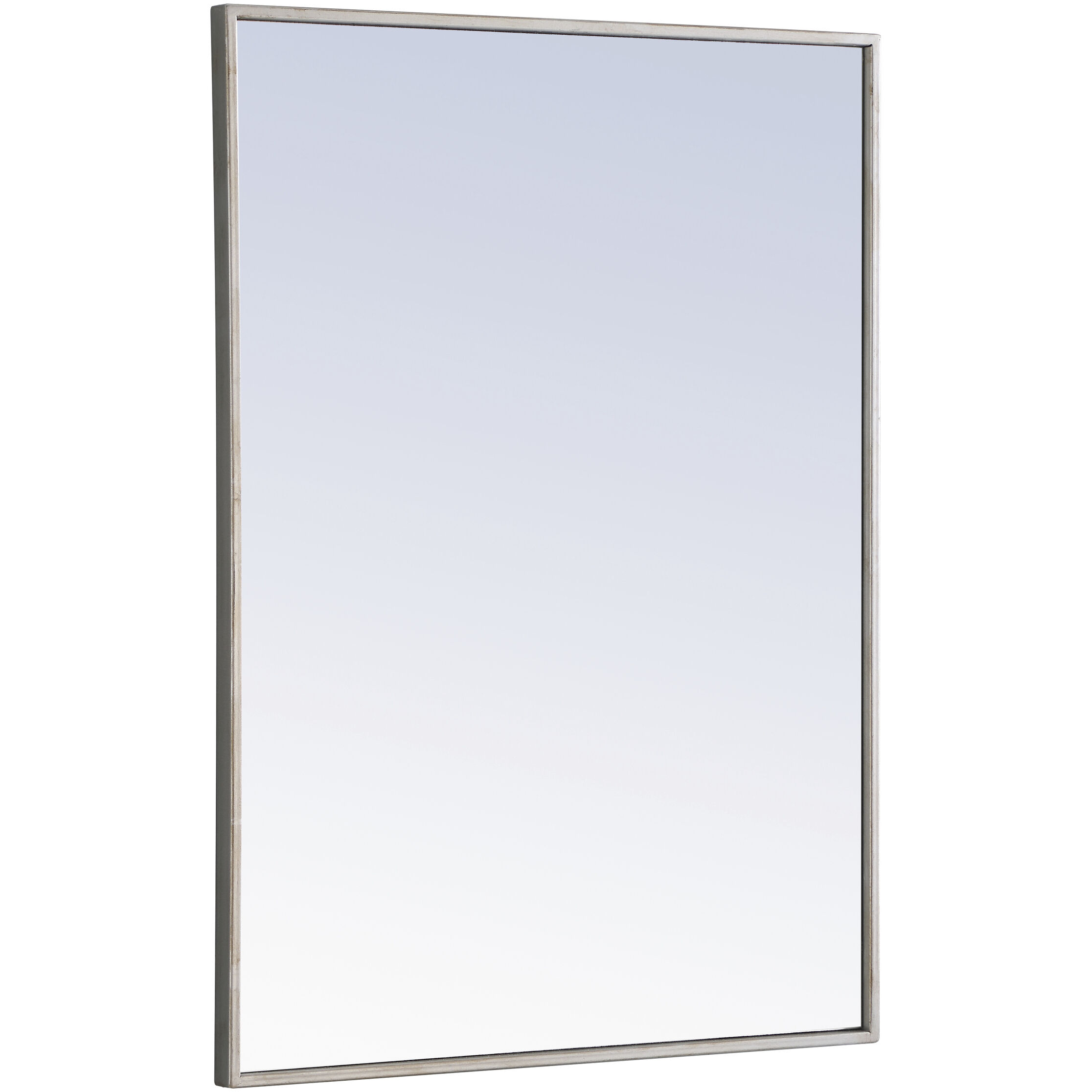 Monet 32 X 24 inch Silver Wall Mirror