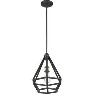 Orin 1 Light 12 inch Aged Bronze and Brass Accents Pendant Ceiling Light