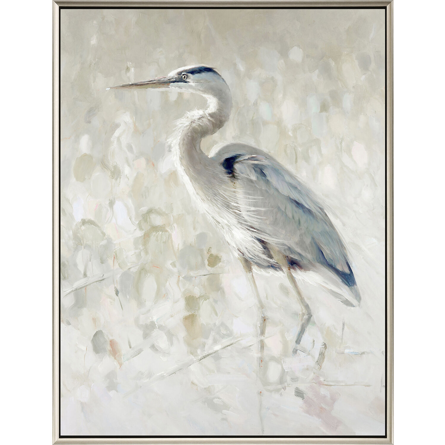 Great Blue Heron White Canvas
