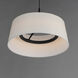 Paramount LED 16 inch Black Single Pendant Ceiling Light