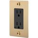 1G Duplex 125 Brass Outlet