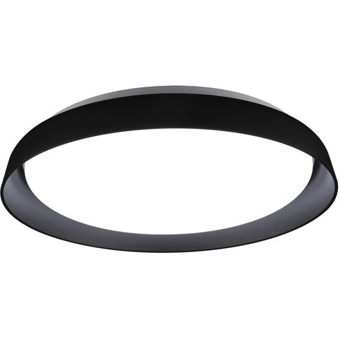 Hampton LED 16.88 inch Black Flush Mount Ceiling Light