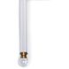 Crystal Tail 1 Light 6 inch Natural Brass Wall Sconce Wall Light
