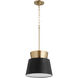 Trapezoids 1 Light 12 inch Noir and Aged Brass Pendant Ceiling Light