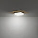 Double Decker LED 14 inch Black Aged Brass Flush Mount Ceiling Light in 2700K, dweLED