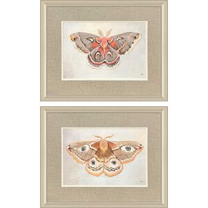 Forest Moth Pink and Orange and Red and Beige Framed Art