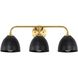 Shepard Vanity Wall Light in Matte Black