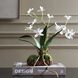 Clovis White and Green Orchid Drop-In