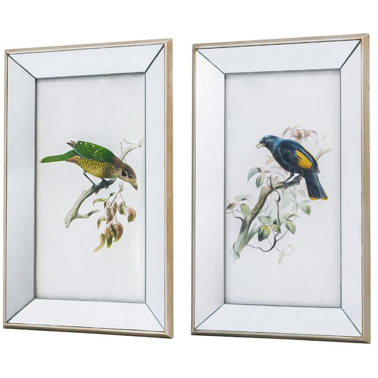 Bird Mirror Frame Print Multi Color Wall Art, Set of 2