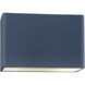 Ambiance Collection LED 10 inch Midnight Sky/Matte White Outdoor Wall Sconce