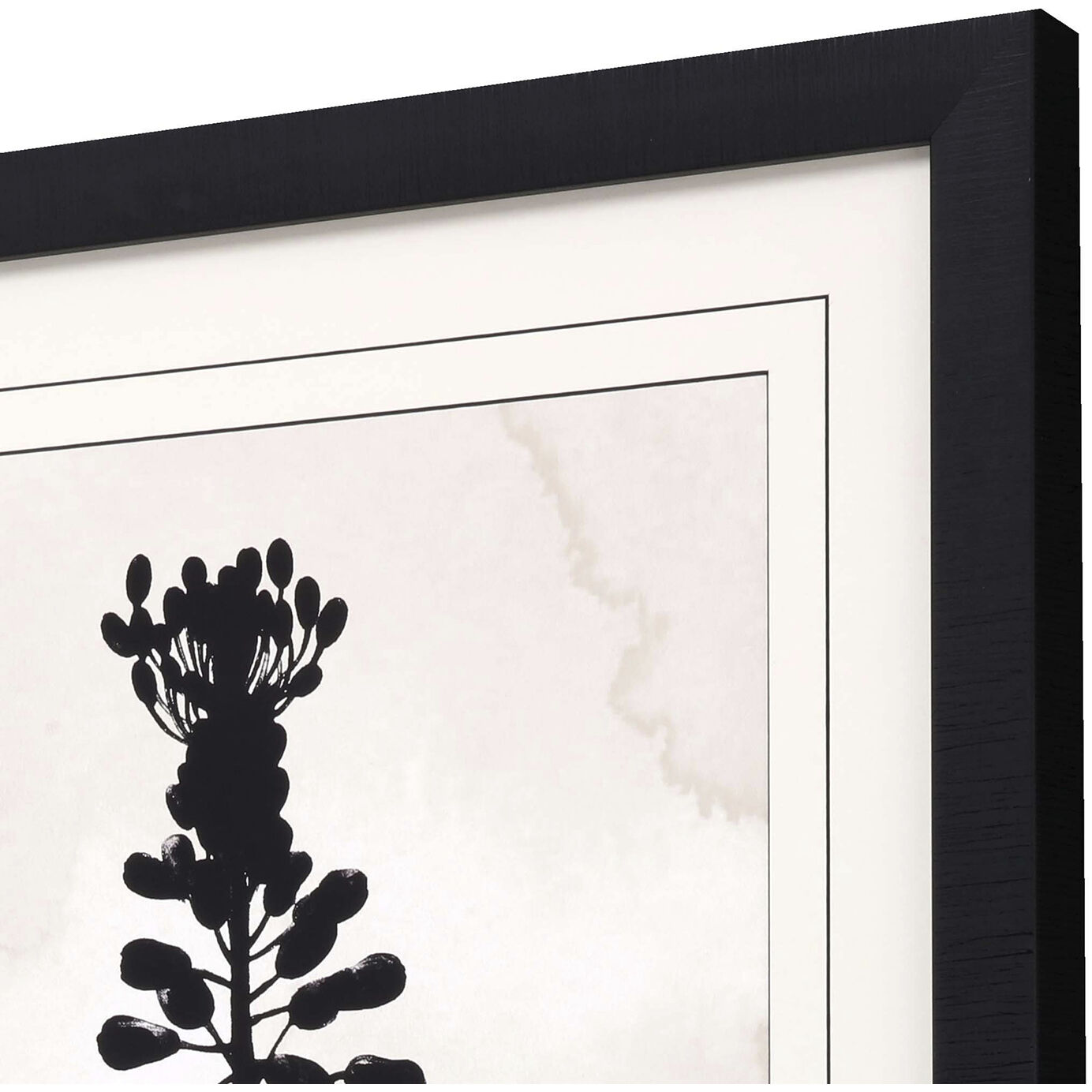 Dianella Muscari Black and Beige Framed Art
