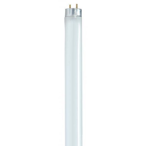 Lumos Fluorescent 32 watt 5000K Light Bulb, T8 Linear