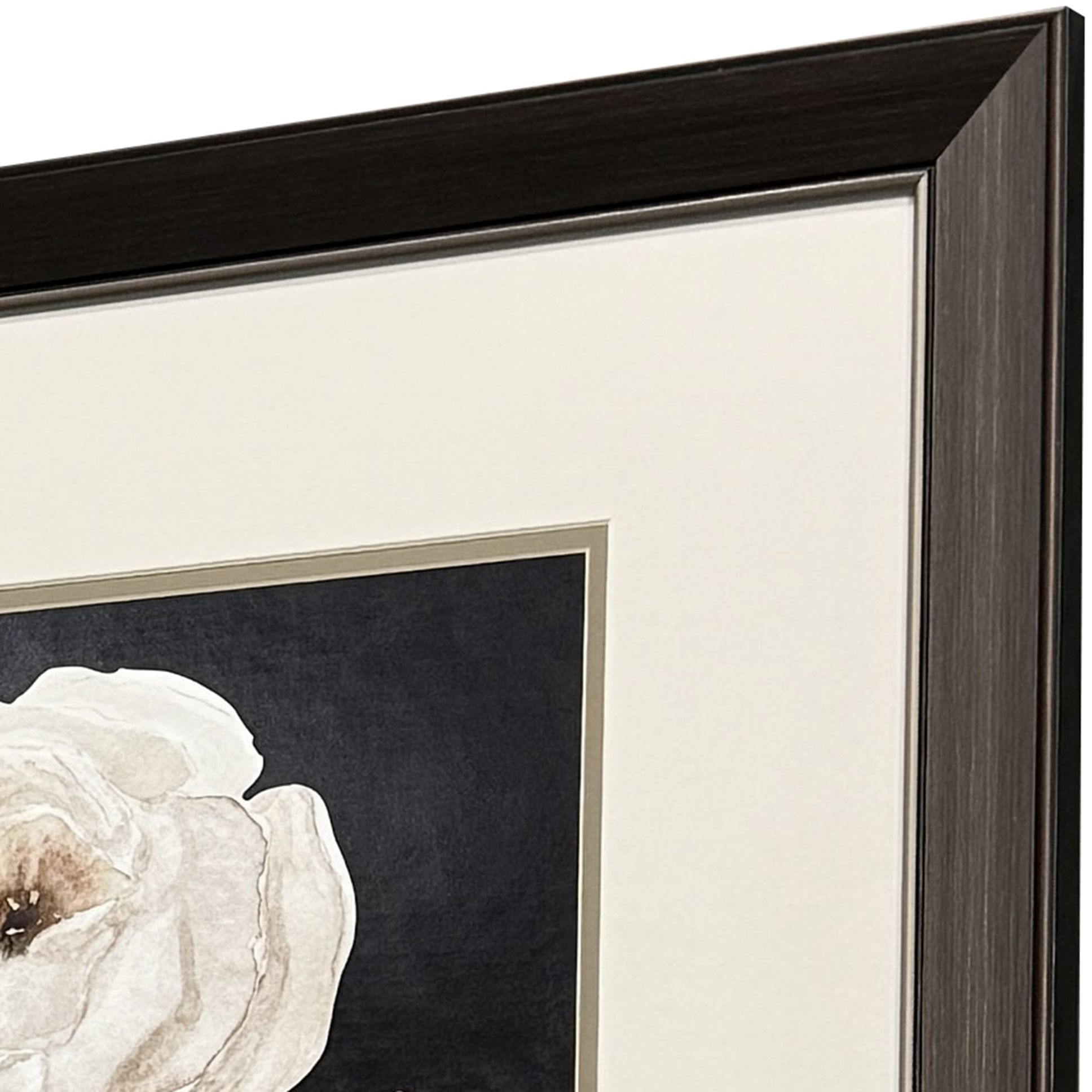 Botanical on Black Black and Brown and White Framed Art, Propac