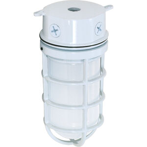 Brentwood 1 Light 4 inch White Outdoor Ceiling Mount