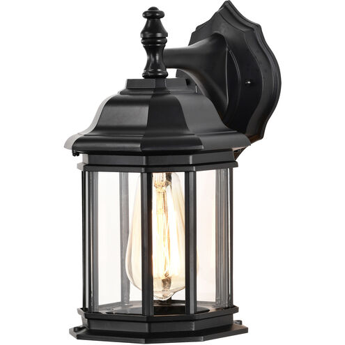 Hopkins 12 inch Matte Black Outdoor Wall Lantern, Small