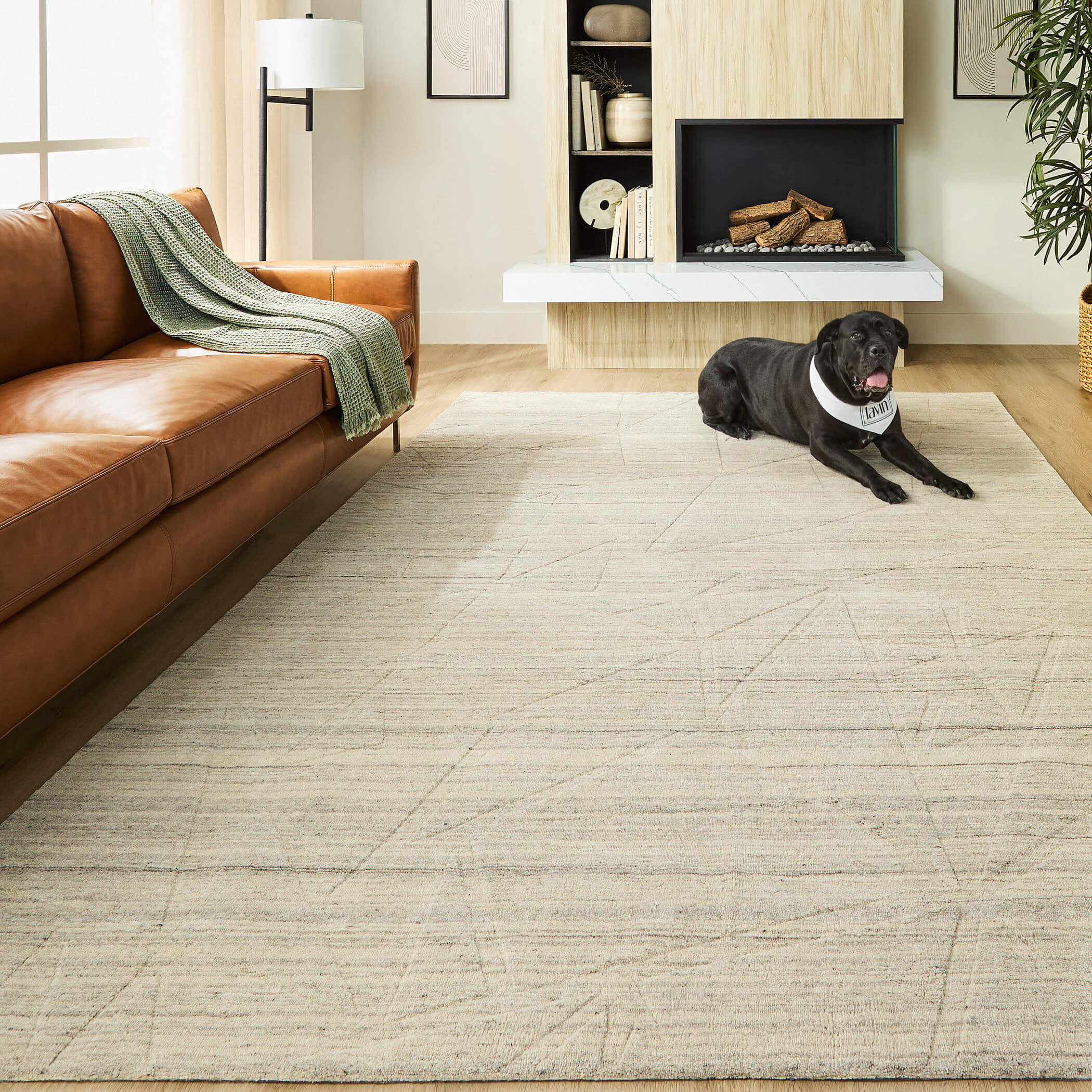 Kirti 36 X 24 inch Light Grey Rug in 2 x 3