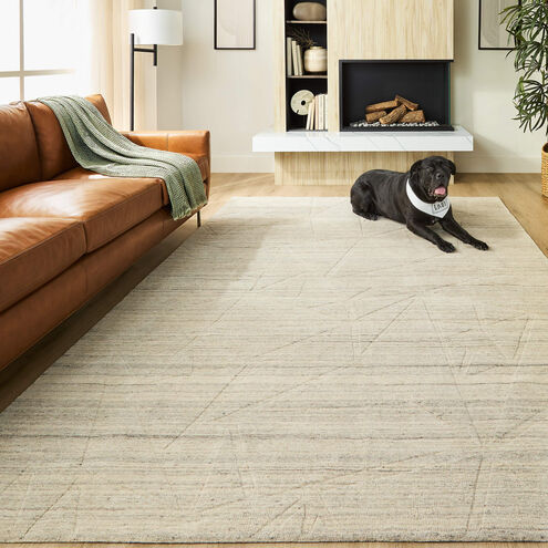 Kirti 114 X 79 inch Light Grey Rug in 6 x 9