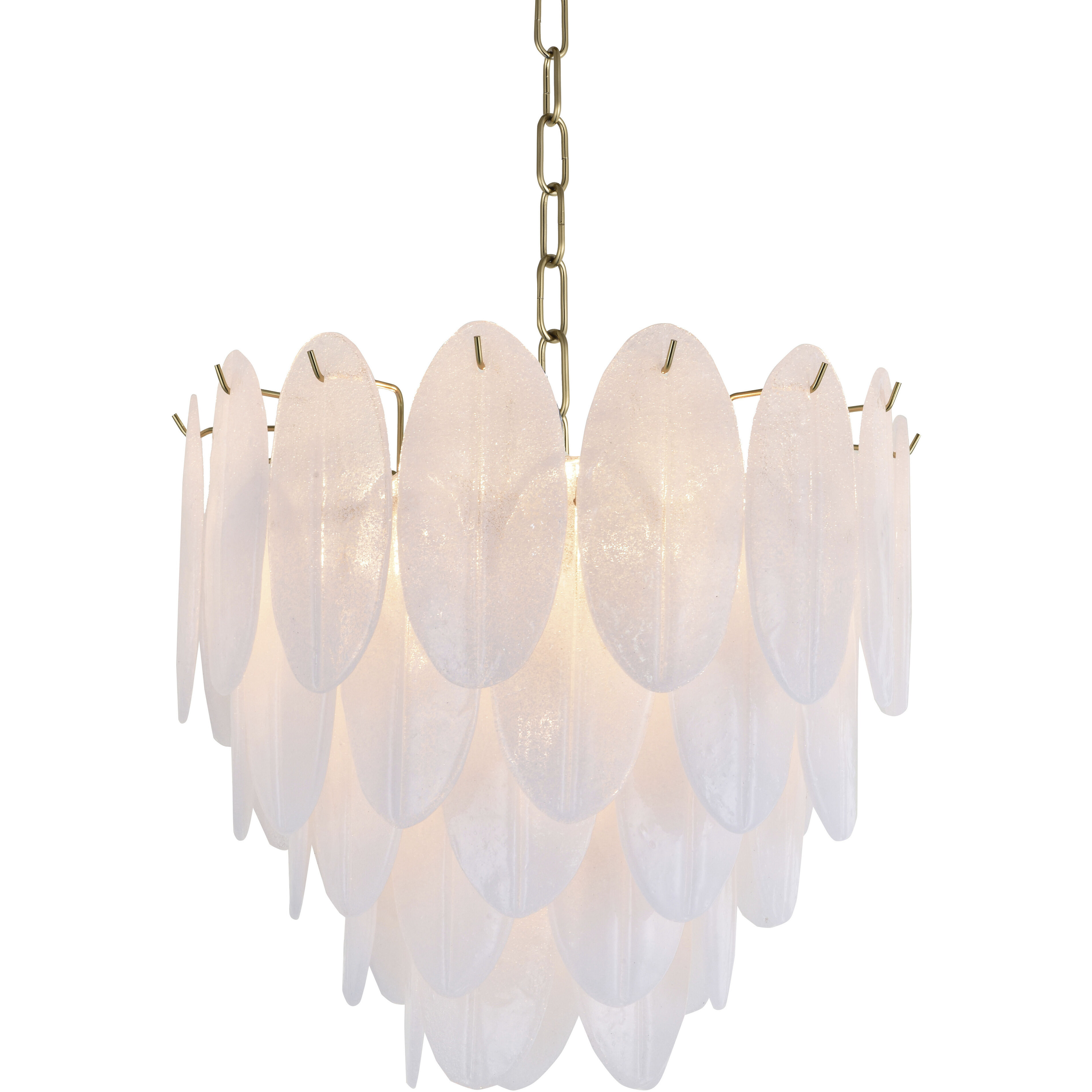 Canada 9 Light 20 inch Brass Chandelier Ceiling Light