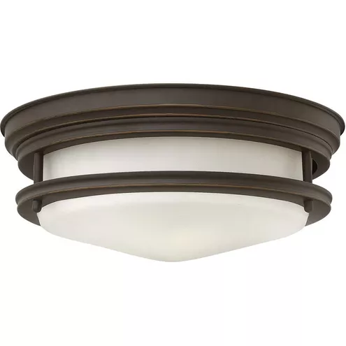 Sw 3302 Hinkley 3302BR-CL Hadley 2 Light 12 inch Brushed Bronze Indoor Flush ...