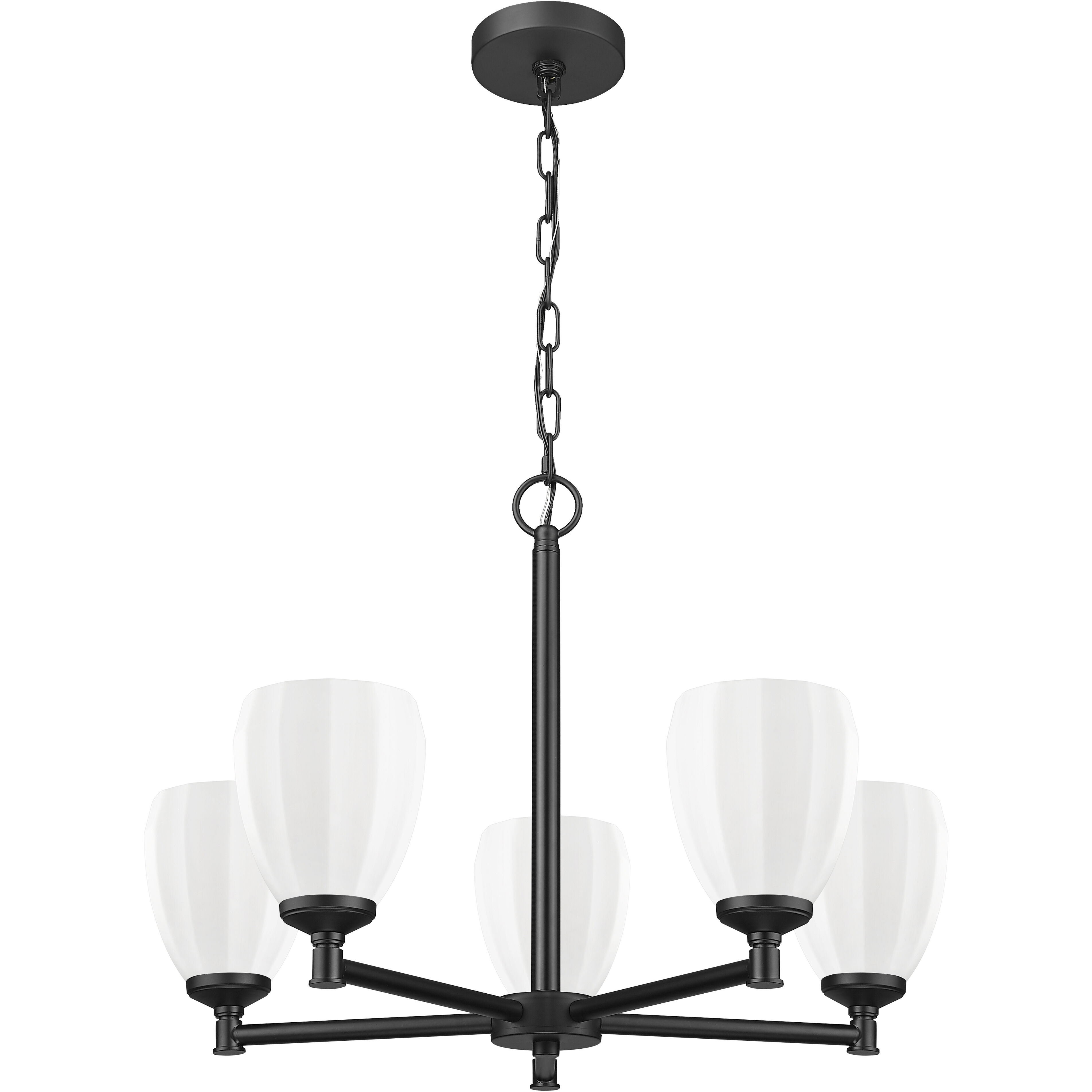Oren 5 Light 25 inch Matte Black Chandelier Ceiling Light