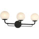 Whitehall 3 Light 28 inch Dark Matte Black Vanity Light Wall Light