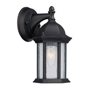Severinus 1 Light 10 inch Black Outdoor Wall Lantern