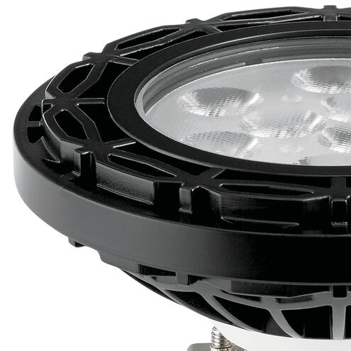 Landscape Led 12 10.00 watt Black Landscape 12V Led Lamps