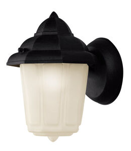 Dale 1 Light 9 inch Black Outdoor Wall Lantern