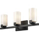 Dressler Vanity Light Wall Light in Matte Black