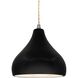 Radiance 1 Light 8 inch Carbon Matte Black and Brushed Nickel Pendant Ceiling Light