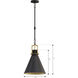 Fenric 1 Light 13.75 inch Dark Bronze and Legacy Brass Pendant Ceiling Light