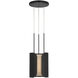 Anne-Marie Barton Armise LED 11 inch Matte Carbon Pendant Ceiling Light