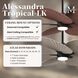 Atlas Alessandra Tropical - LK 48 inch Brushed Nickel with Light Blue Blades Ceiling Fan