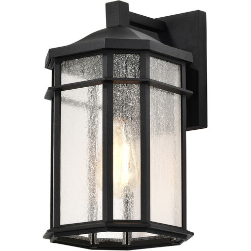 Raiden 14 inch Matte Black Outdoor Wall Lantern, Small