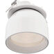 Horus White Directional Recessed Light