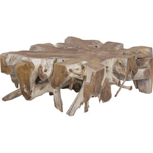 Teak 46 X 31 inch Natural Coffee Table