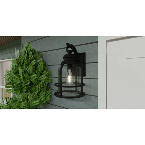 Bowles 1 Light 10 inch Earth Black Outdoor Lantern, Large