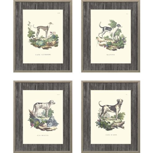 Animals Collection Gray Framed Art