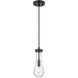 Downtown Urban Owego 1 Light 4.75 inch Matte Black Pendant Ceiling Light in Clear