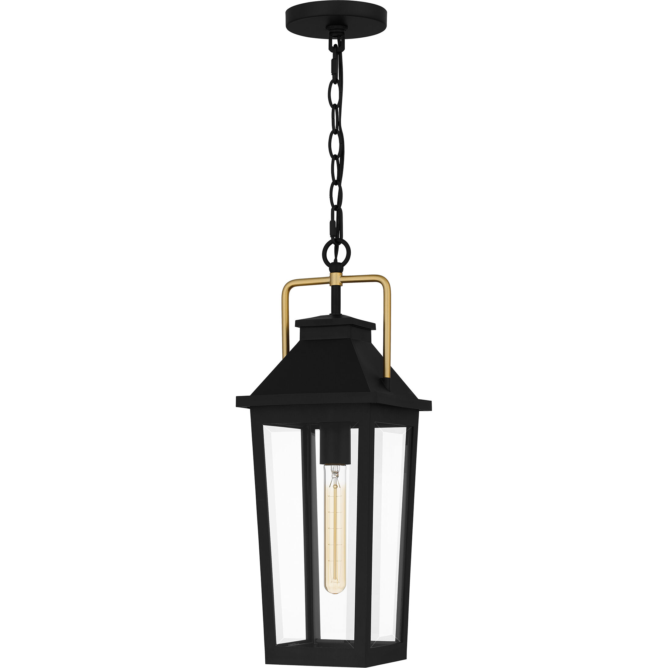 Buckley 1 Light 8 inch Matte Black Outdoor Hanging Lantern