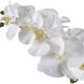 Cami White Ceramic Orchid
